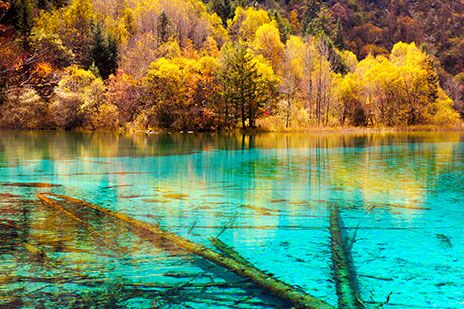 世界自然遺產九寨溝?黃龍8日  ? World natural heritage Jiuzhaigou ?Huanglong 8 days